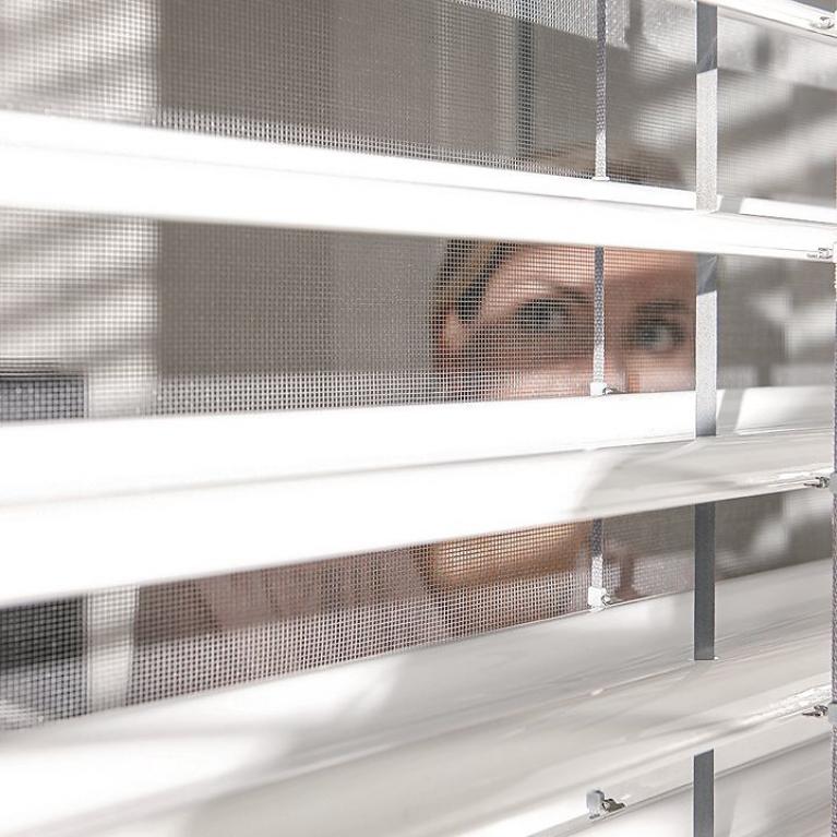 Vue extérieure, femme regarde par la fenêtre derrière une moustiquaire et des brise-soleil, position d'inclinaison 90°